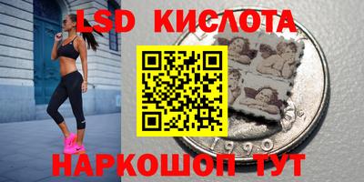 гашик Кингисепп