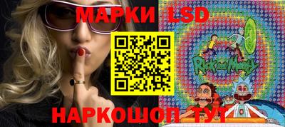 гашик Кингисепп