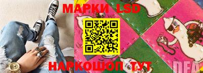 гашик Кингисепп