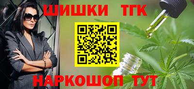 гашик Кингисепп