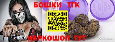 гашик Кингисепп