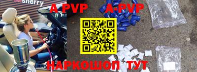гашик Кингисепп