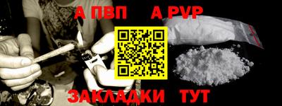 гашик Кингисепп