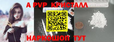 гашик Кингисепп