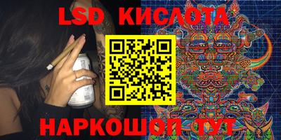 гашик Кингисепп
