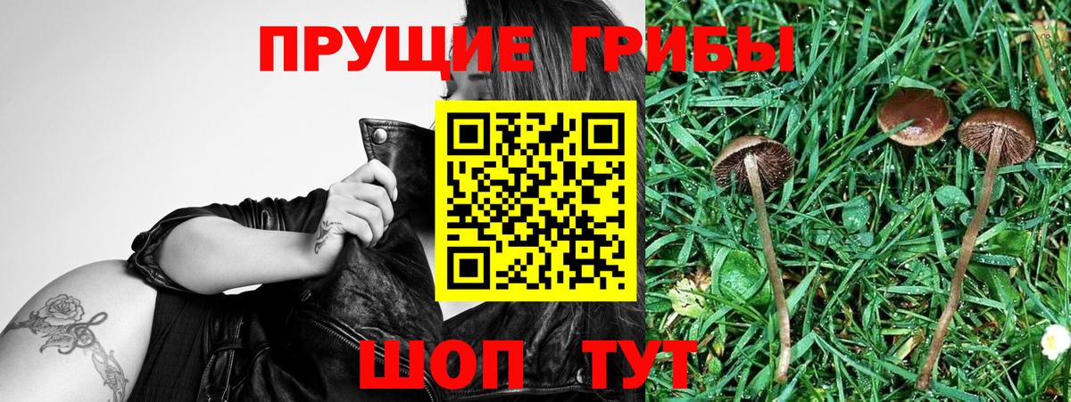 Галлюциногенные грибы прущие грибы Кудрово